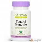 Yogaraj Guggulu 90 Tablet